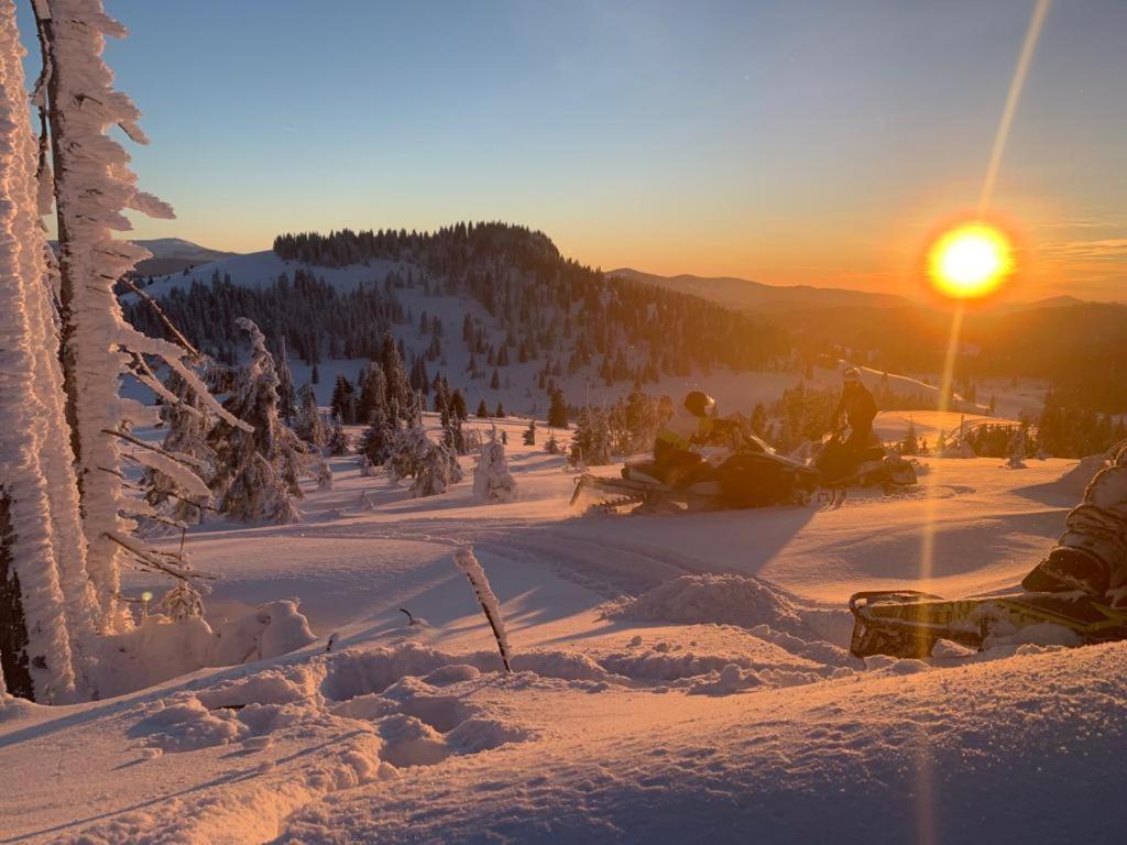 La 5 Casute Villa Pádis Kültér fotó
