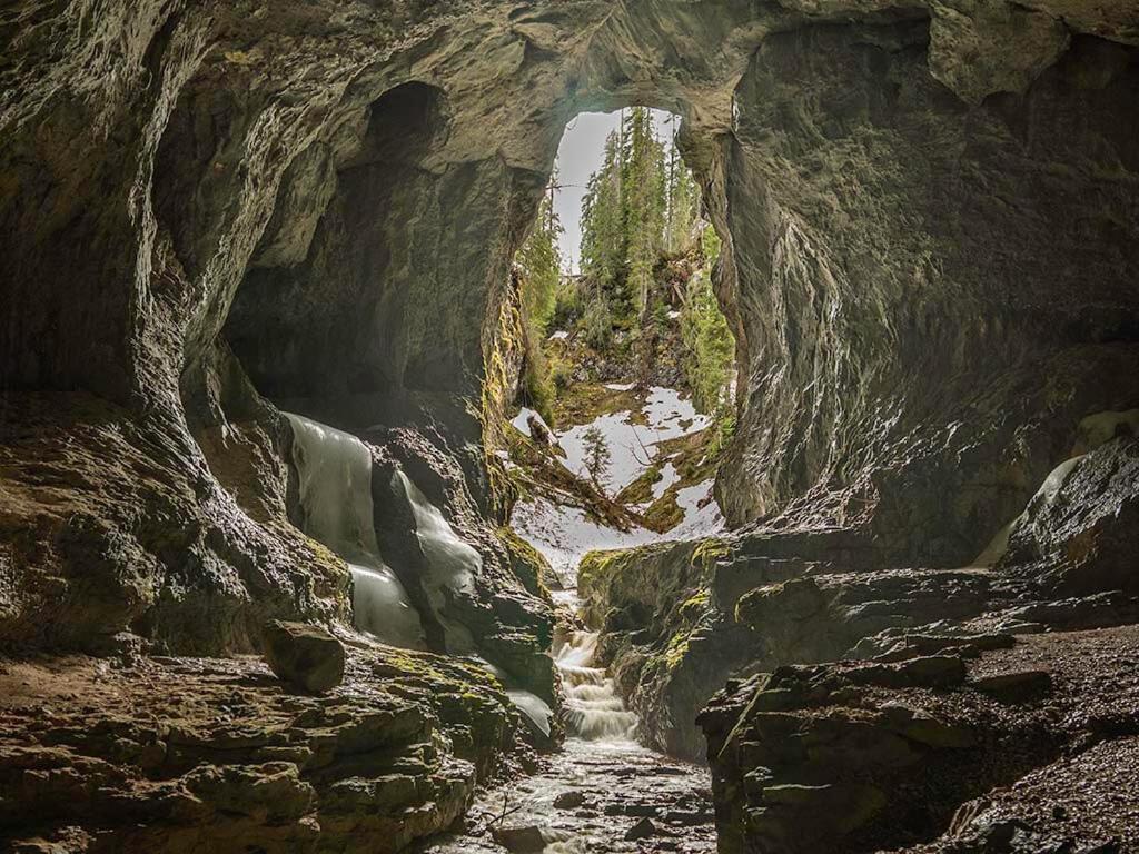 La 5 Casute Villa Pádis Kültér fotó