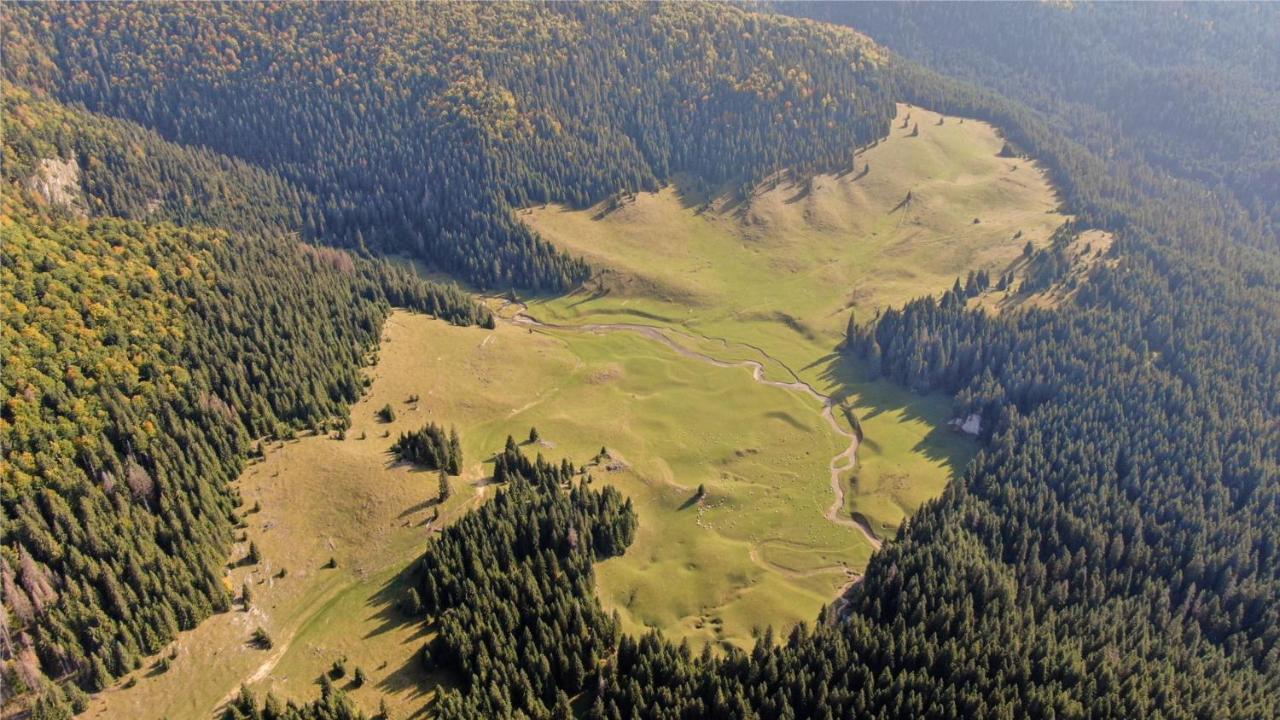La 5 Casute Villa Pádis Kültér fotó