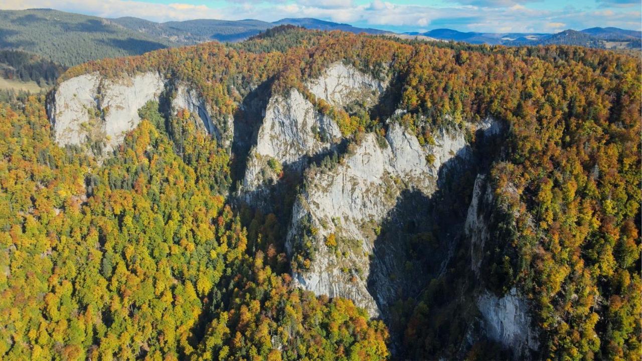 La 5 Casute Villa Pádis Kültér fotó