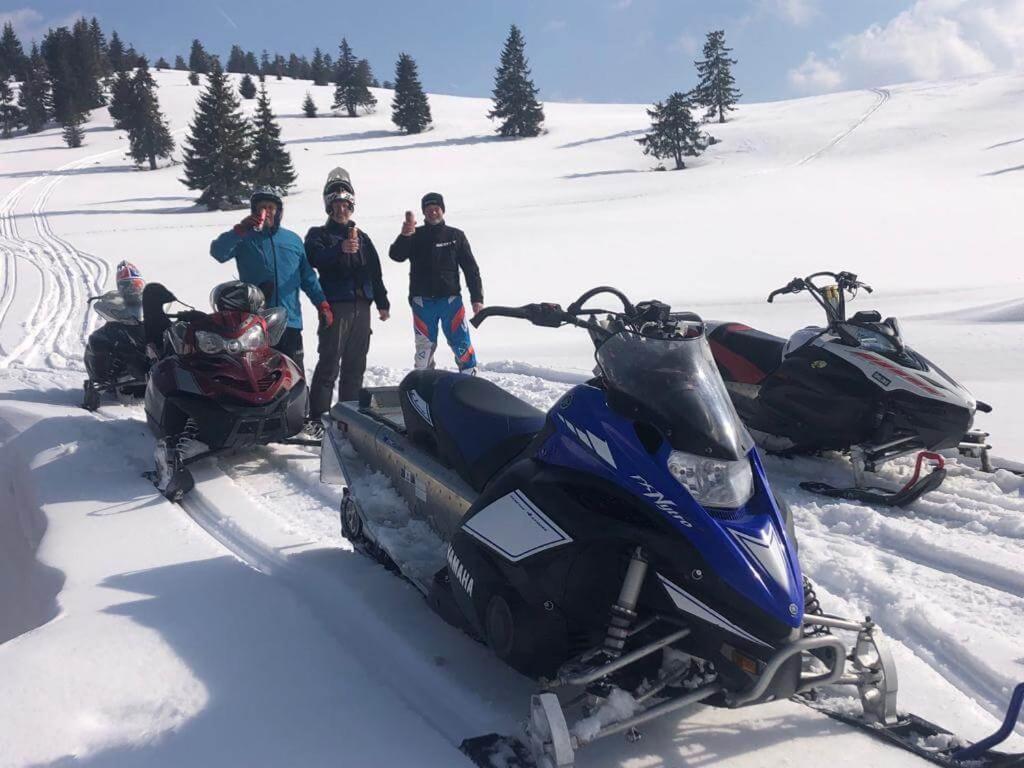 La 5 Casute Villa Pádis Kültér fotó