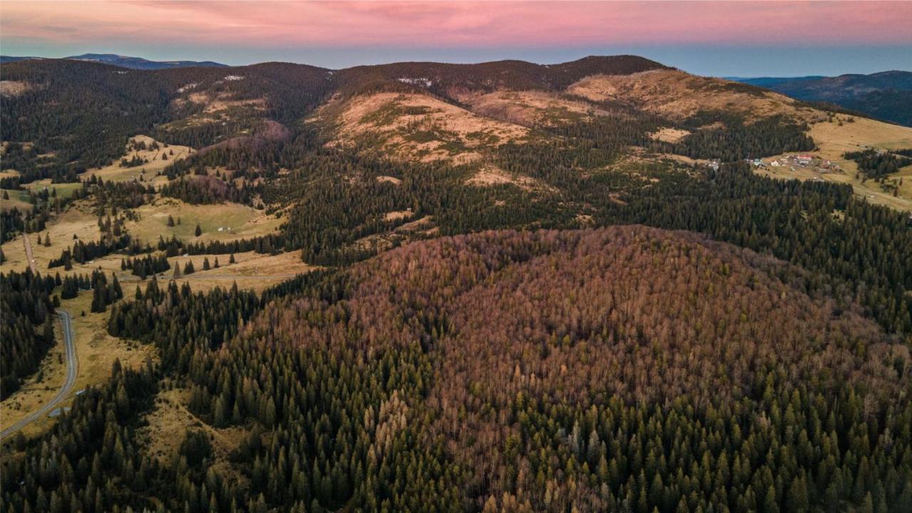 La 5 Casute Villa Pádis Kültér fotó