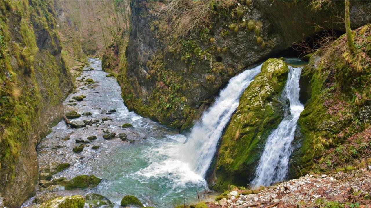 La 5 Casute Villa Pádis Kültér fotó